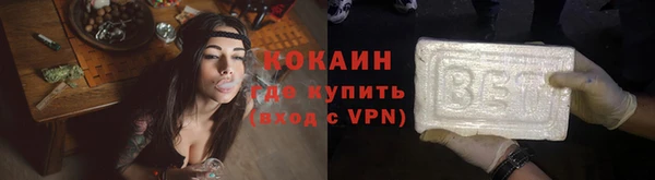 индика Алзамай