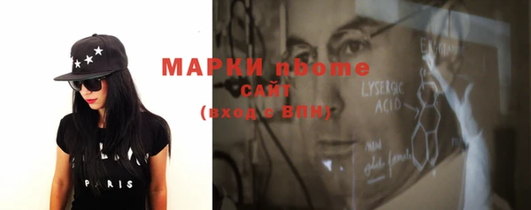 индика Алзамай