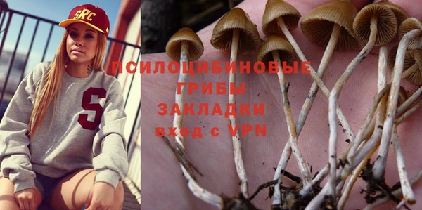 индика Алзамай