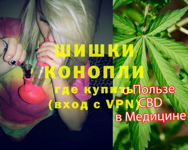 индика Алзамай